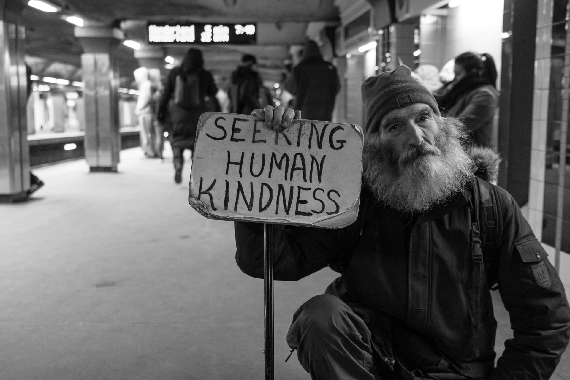 "seeking human kindness" "ვეძებ ადამიანურ სიკეთეს"