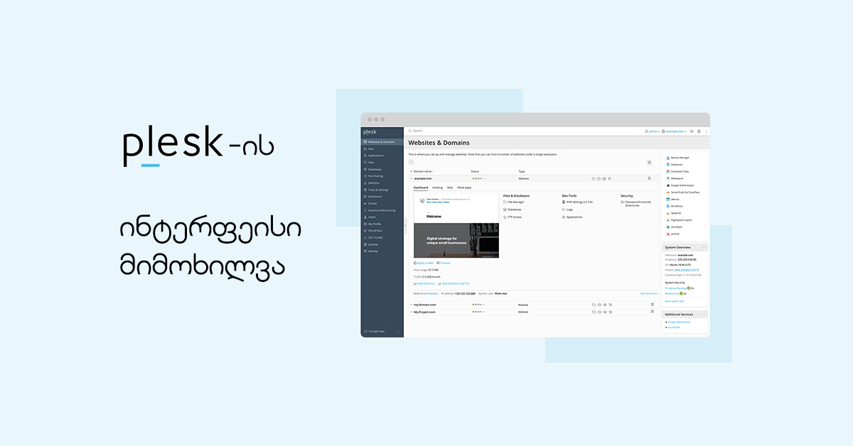 Plesk-ის ინტერფეისის მიმოხილვა